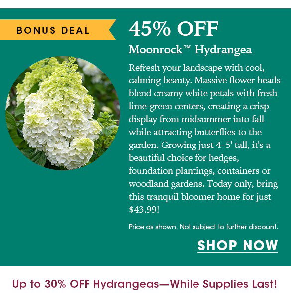 TODAY ONLY: Up to 30% OFF Hydrangeas + Free Shipping on $150+
