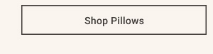 Shop Velvet Truffle Pillows