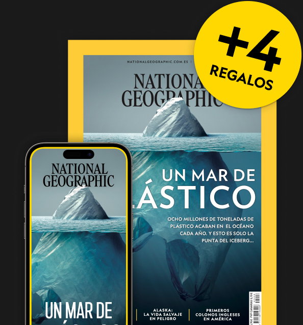 Oferta especial