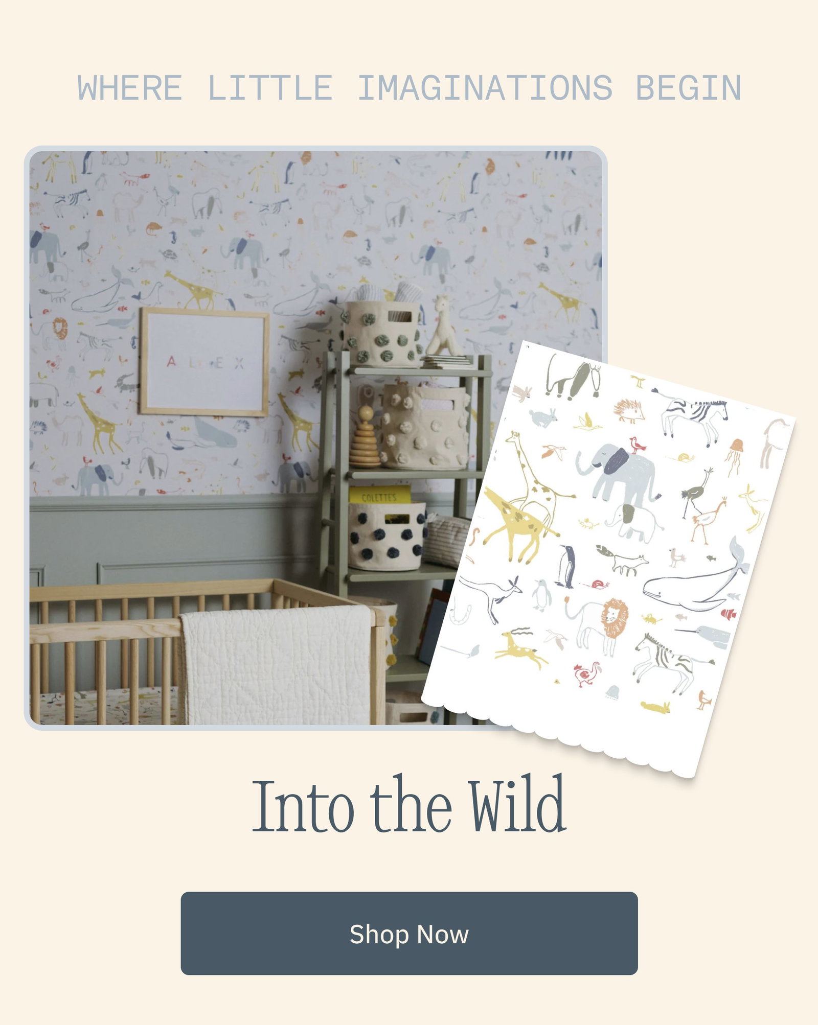 Where Little Imaginations Begin Into the Wild Shop Now