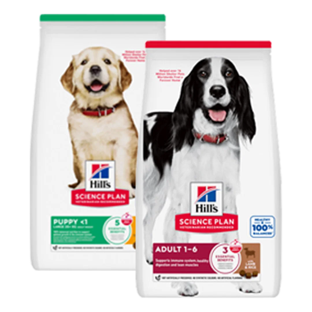 packshot