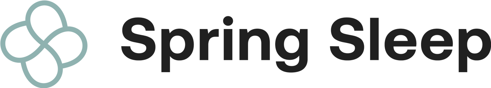 Spring Sleep Logo