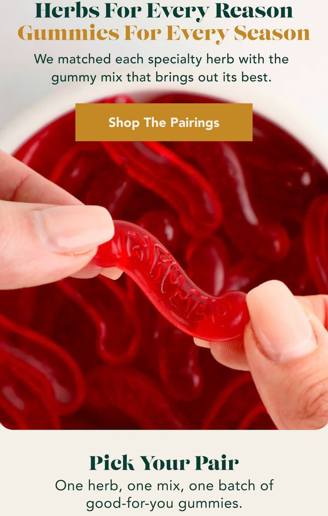 Herbs For Every Reason Gummies For Every Season We matched each specialty herb with the gummy mix that brings out its best. [Shop The Pairings]