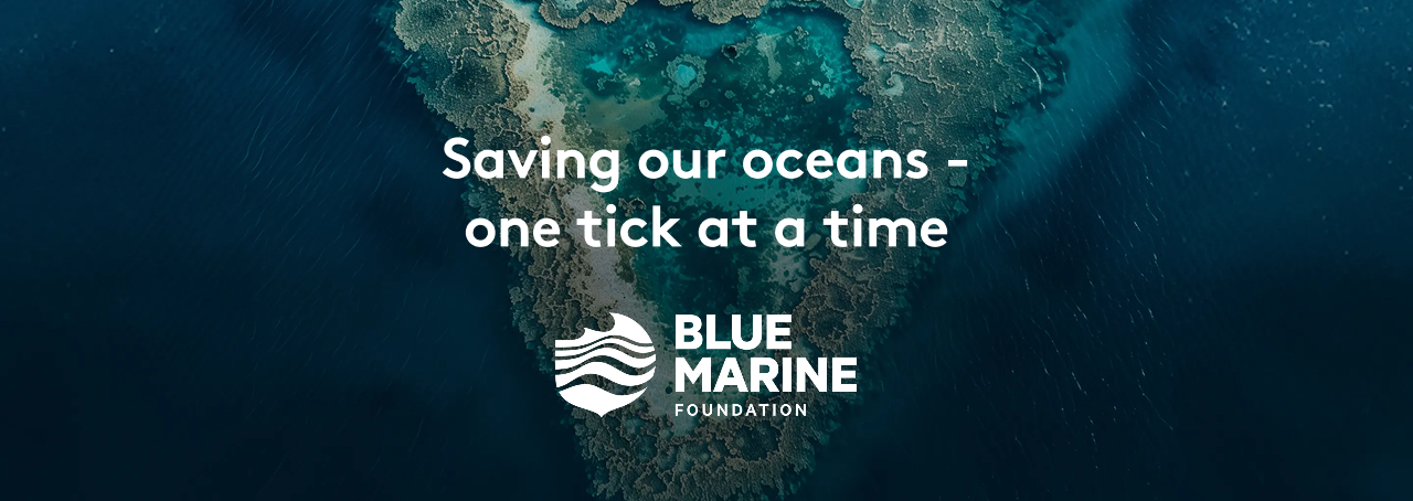 Blue Marine Foundation