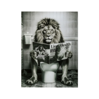 Glasbild_Lion