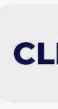 CleanBoss