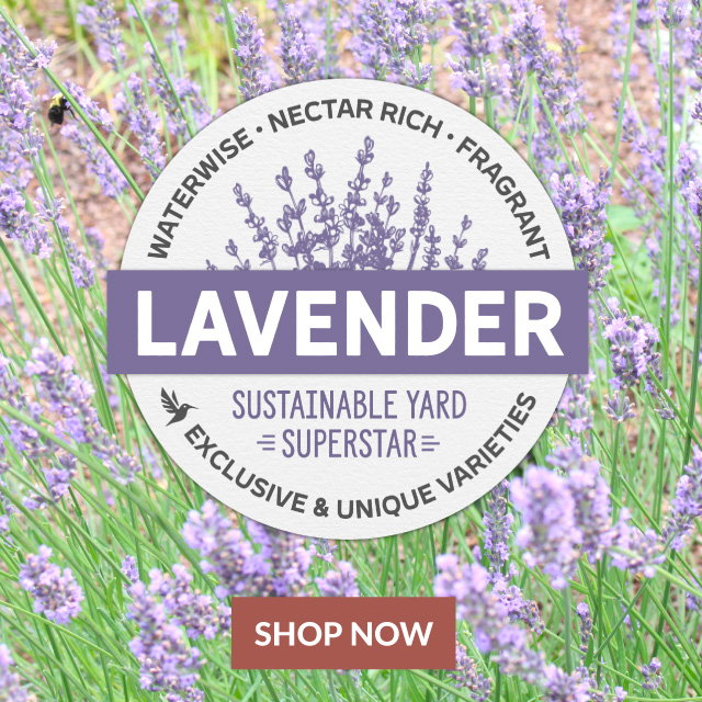 Save Up To 10%