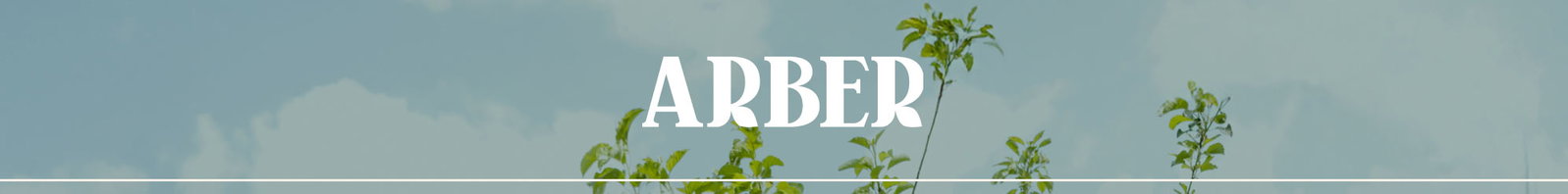 Arber