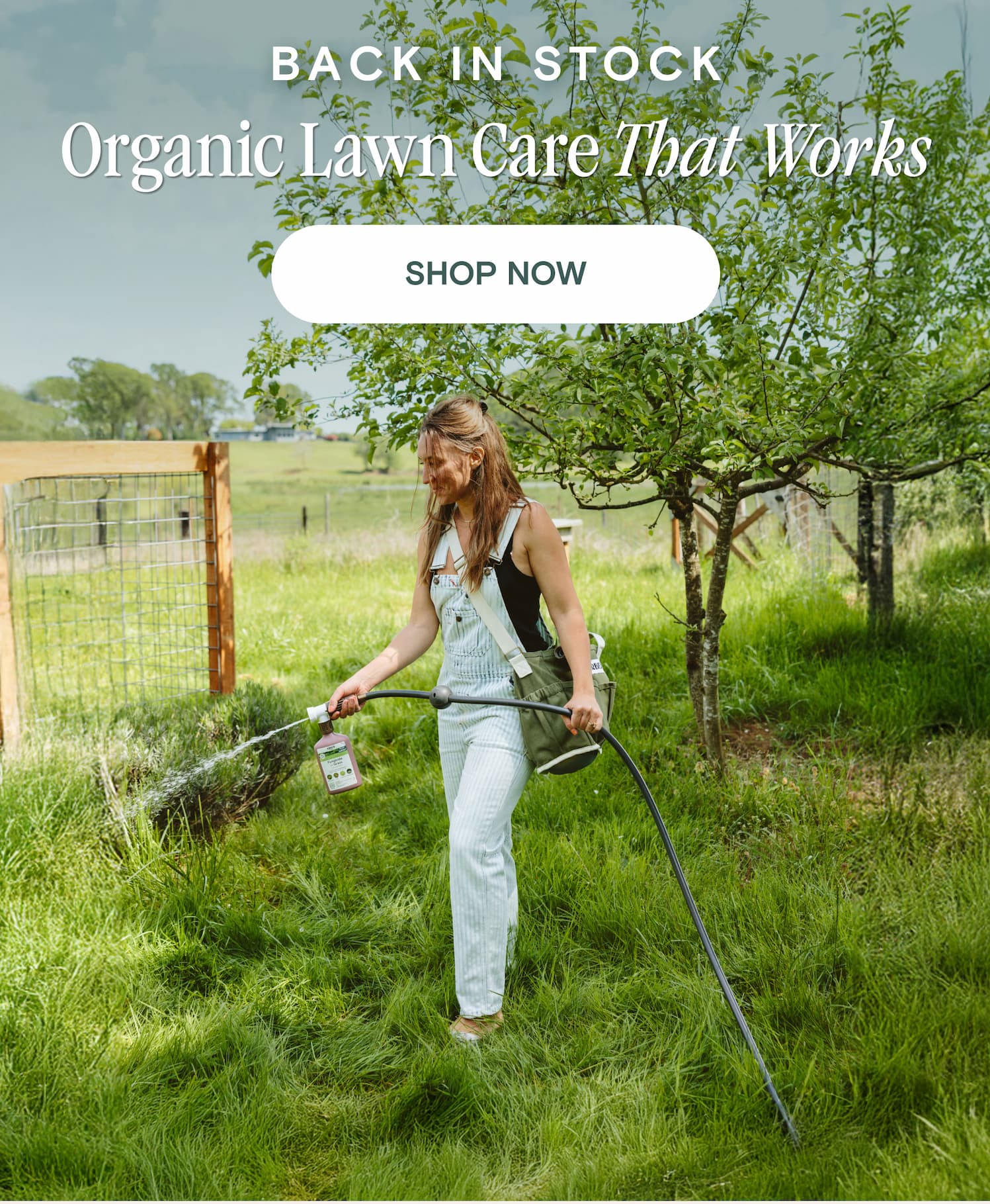 BACK IN STOCK Organic Lawn Care That Works