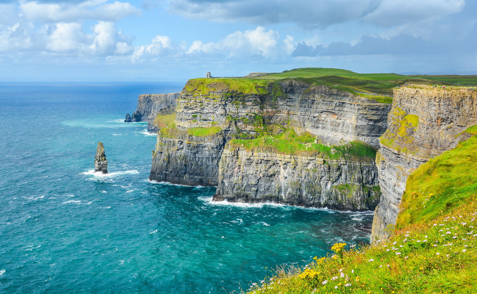 Los Acantilados de Moher con el islote Branaunmore y flores silvestres en primer plano, en un día luminoso