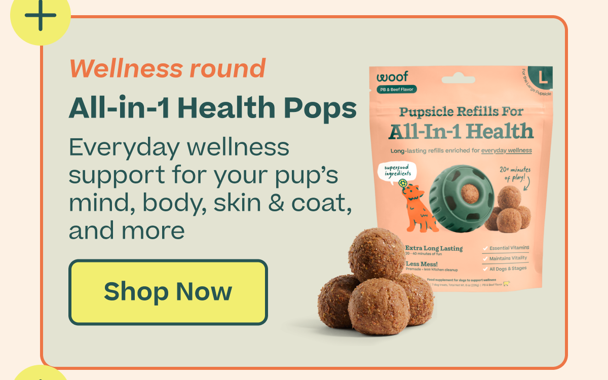 Shop 20% off on all Pupsicle Pops & Mixes Today Only from 3-8pm ET. Save Now