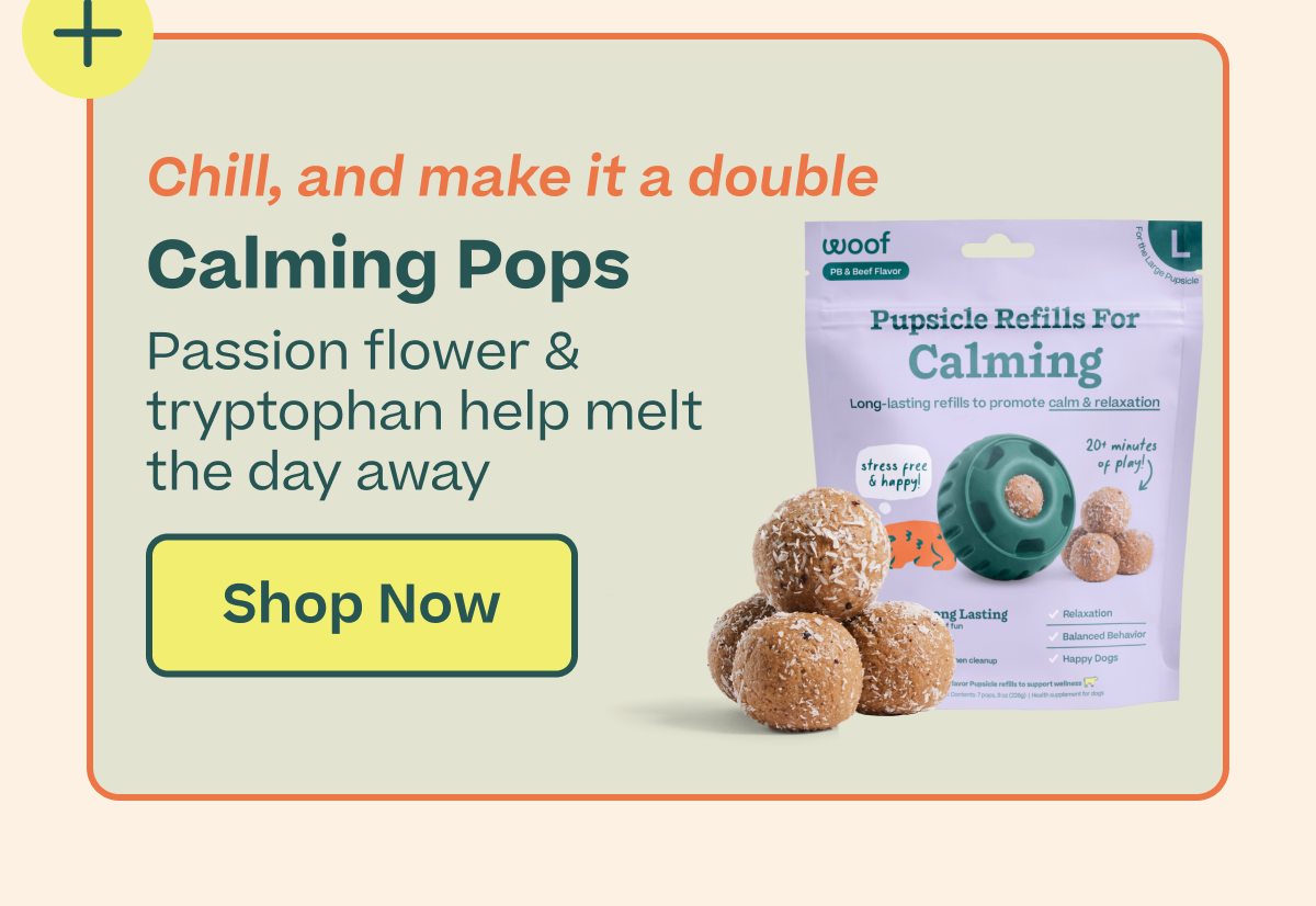Shop 20% off on all Pupsicle Pops & Mixes Today Only from 3-8pm ET. Save Now