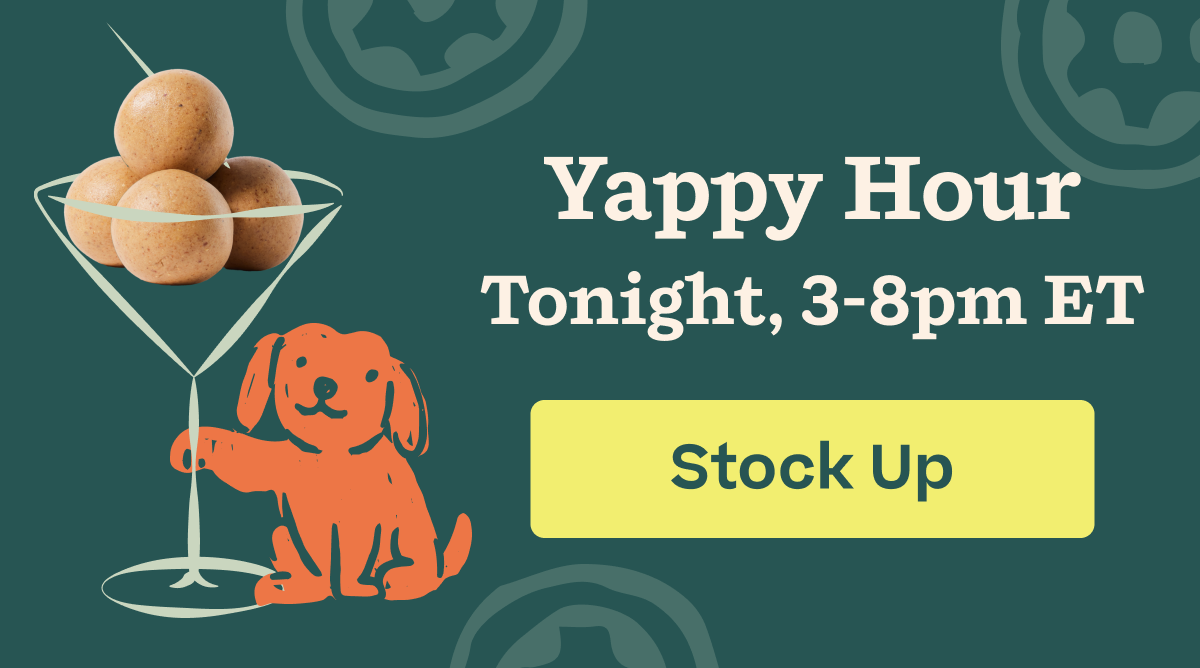 Shop 20% off on all Pupsicle Pops & Mixes Today Only from 3-8pm ET. Save Now