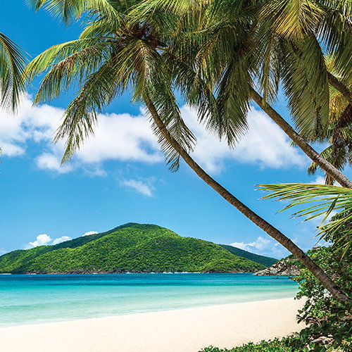 Tortola