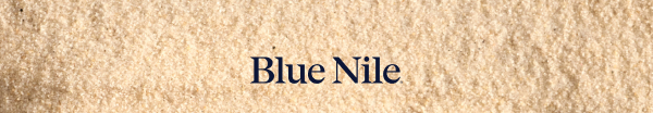 The James Allen Collection Exclusively Available At Blue Nile