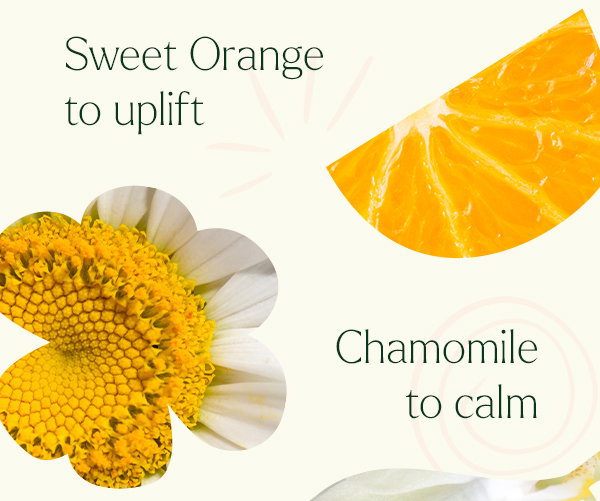 Purchase Autumn Breeze & Donate $5