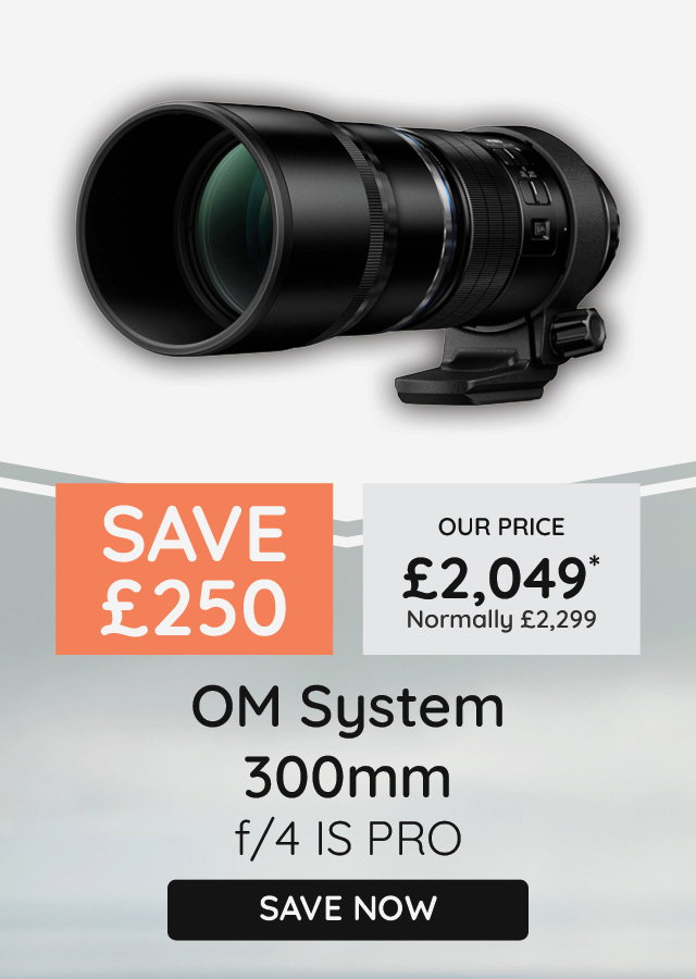 Om System 300mm f/4 IS PRO
