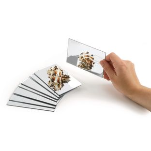 Image of Excellerations® Handheld Safety Mirrors