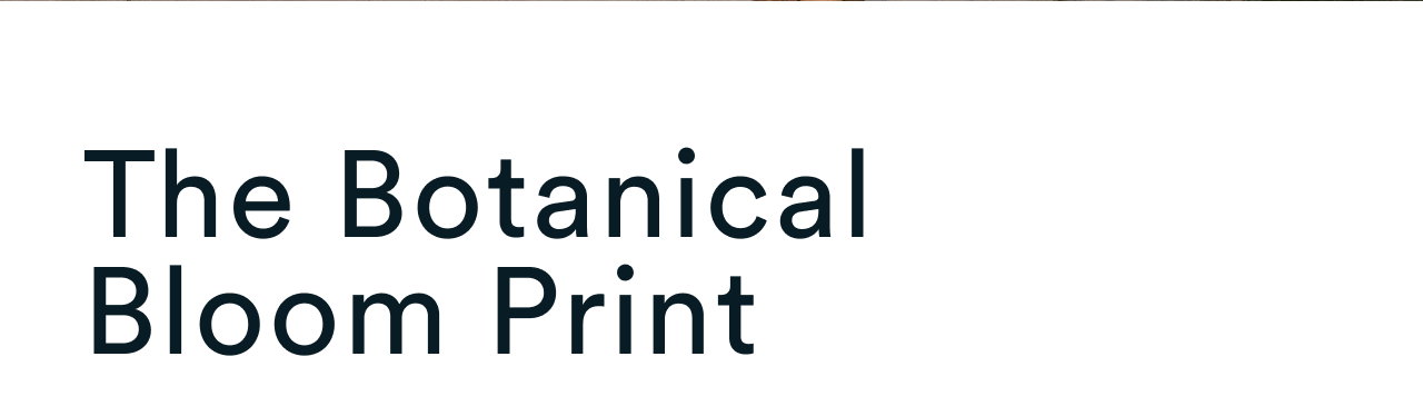 The Botanical Bloom Print