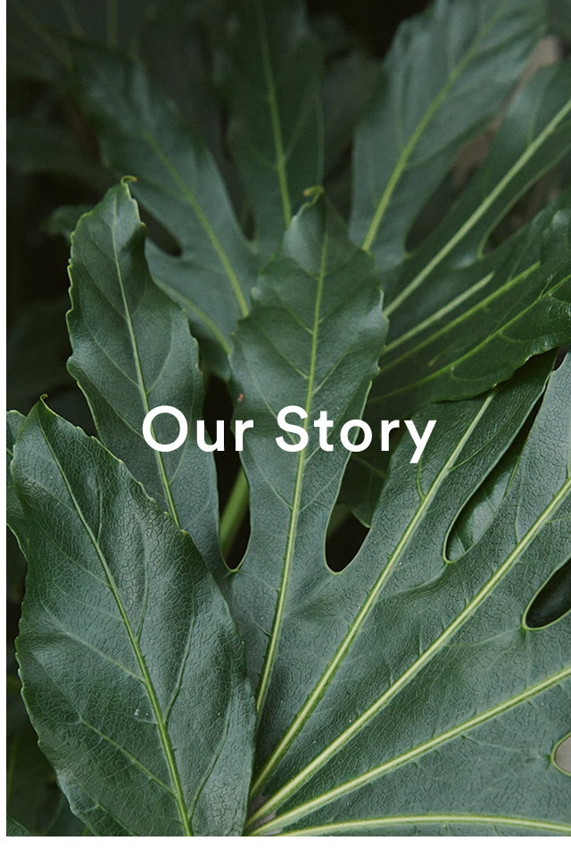 Our Story