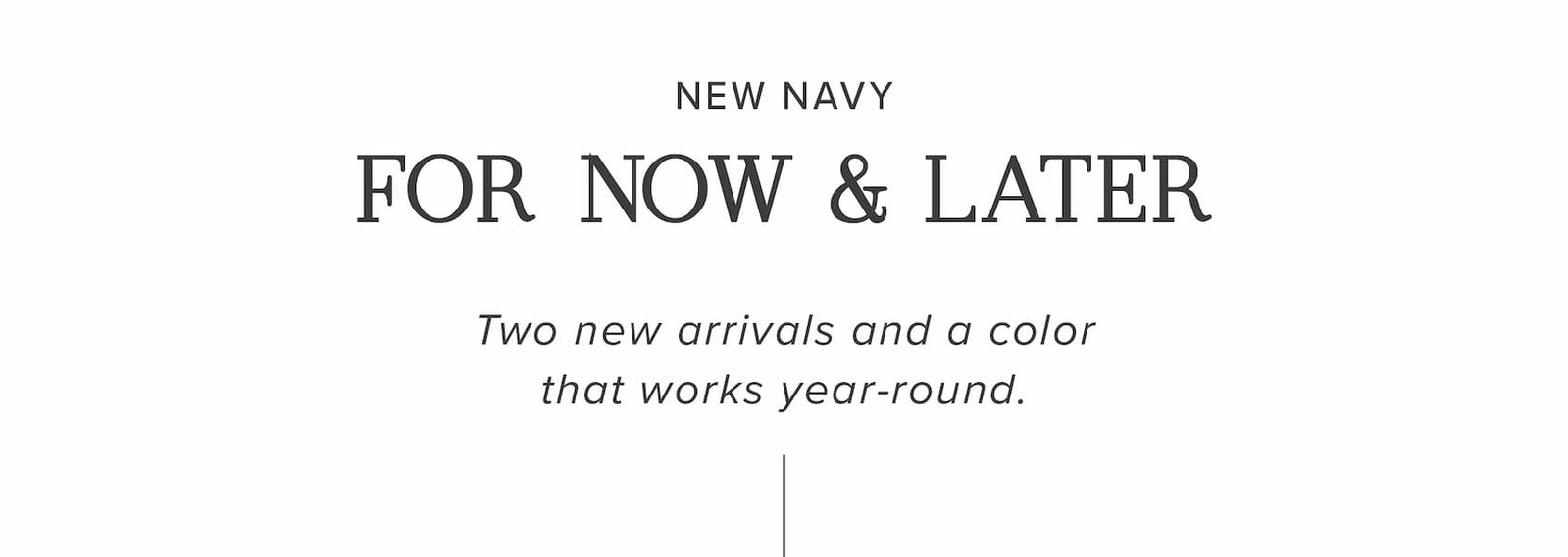 New Navy: for now & later
