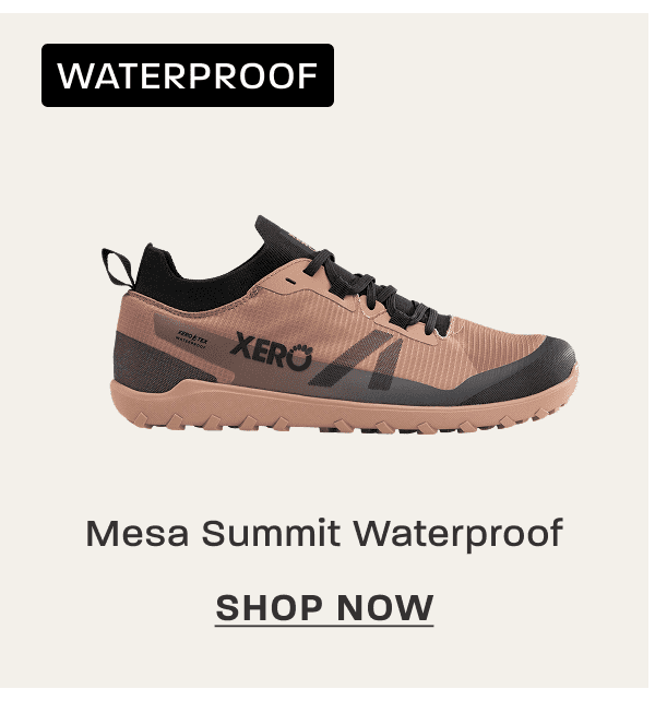 Shop Mesa Summit Waterproof
