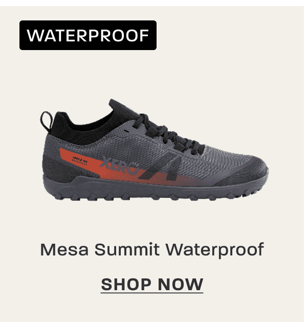 Shop Mesa Summit Waterproof
