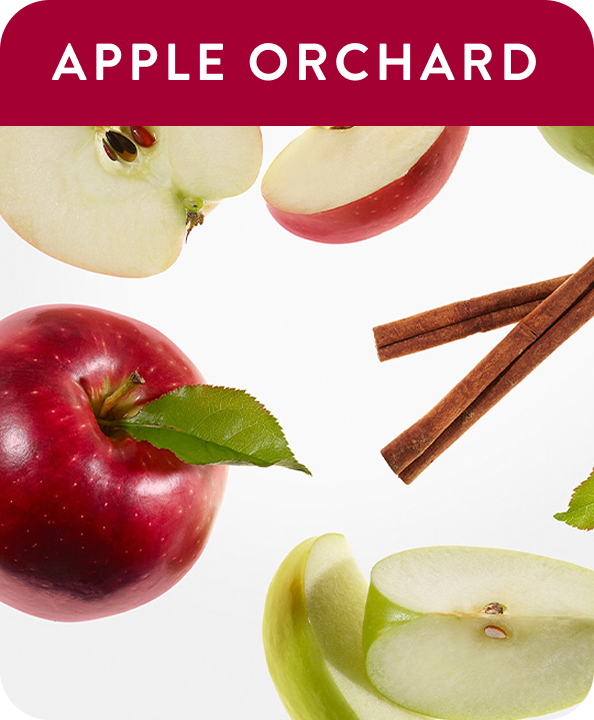 Apple orchard