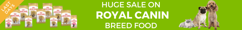 Royal Canin breed food last days of sale