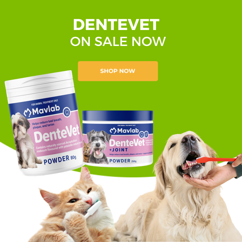 Dentevet on sale
