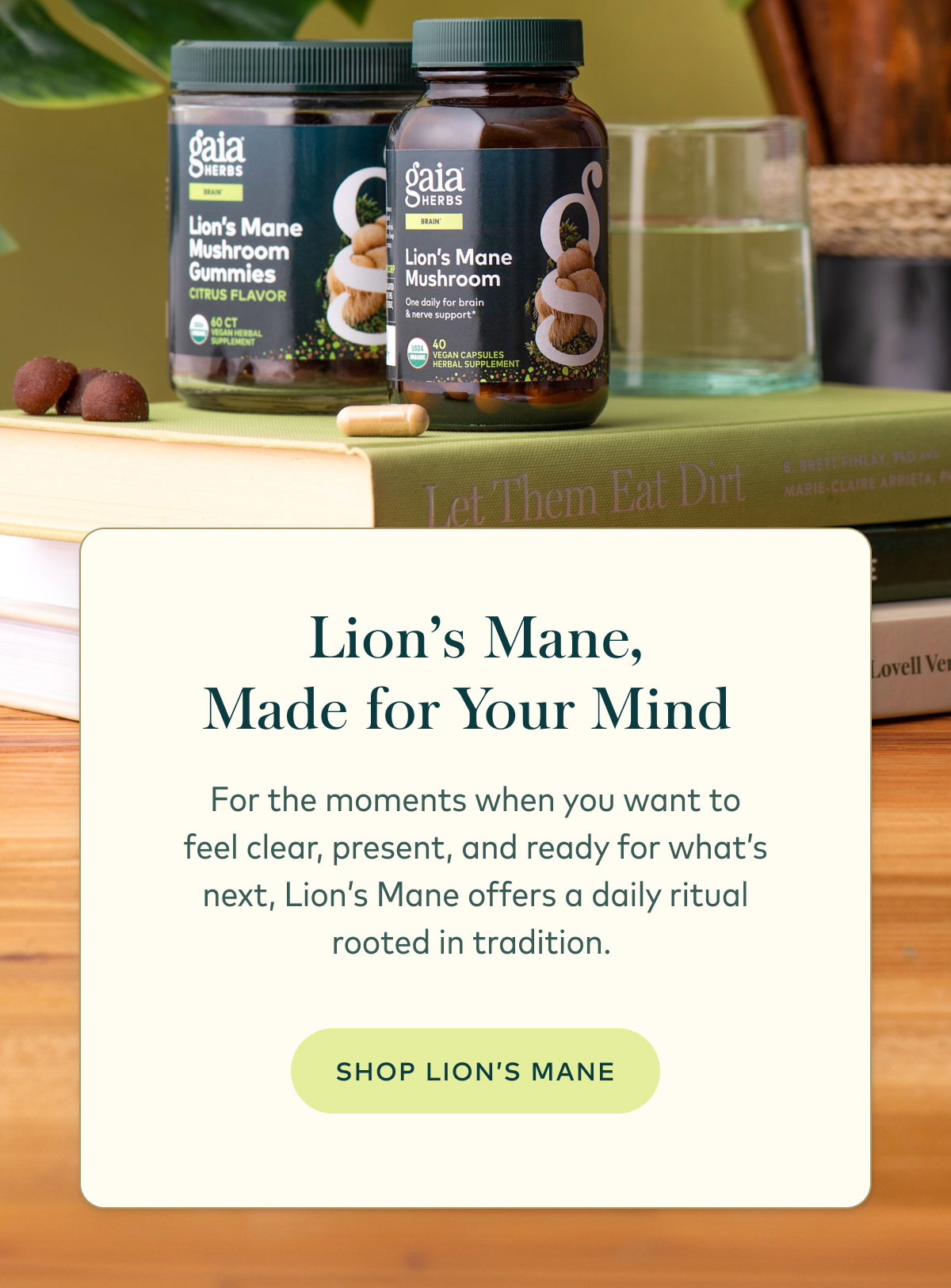 Shop Lion's Mane