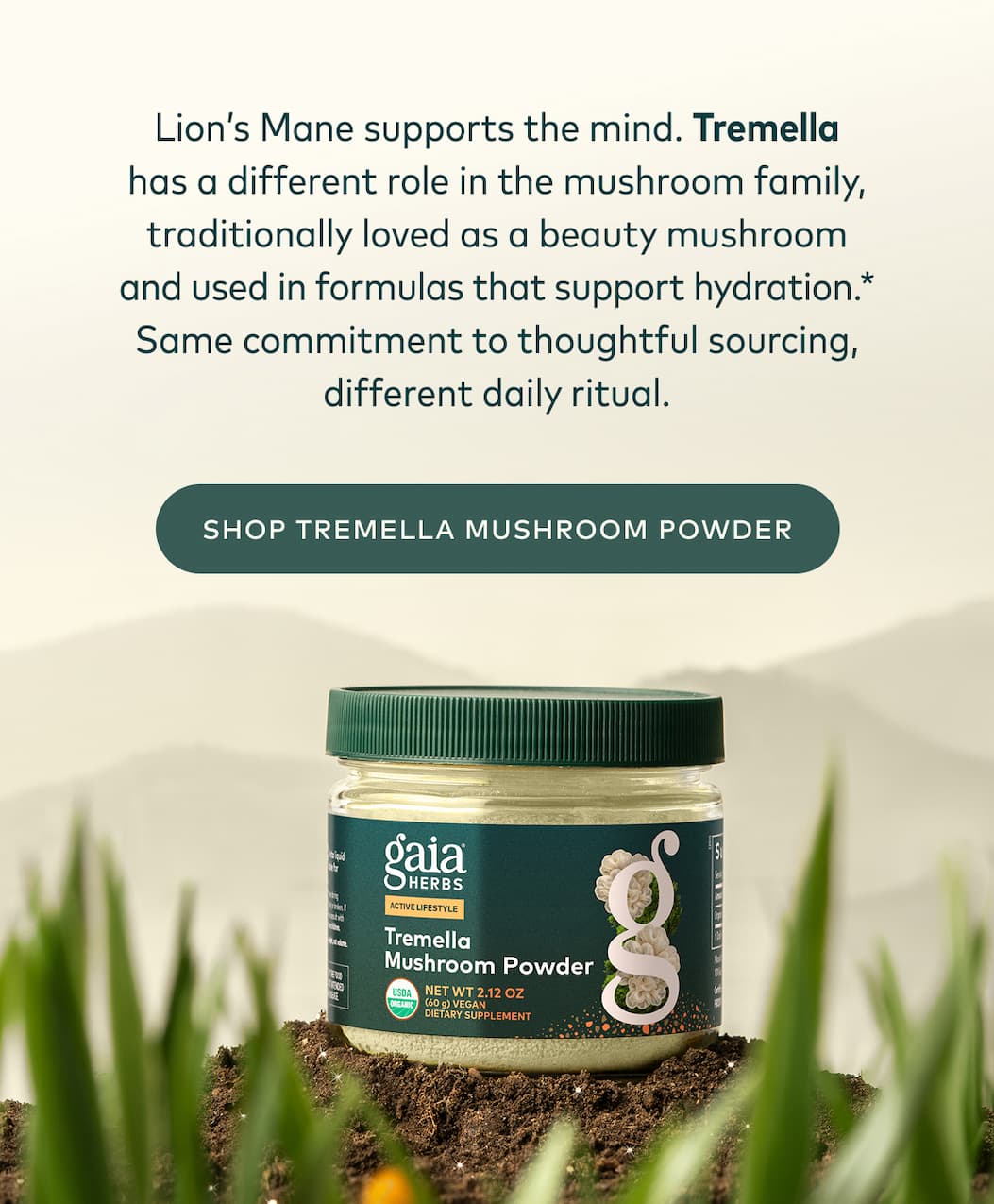 Shop Tremella Mushroom Powder