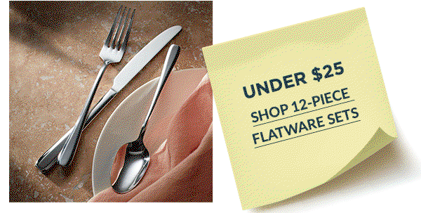 UNDER $25  SHOP 12-PIECE FLATWARE SETS