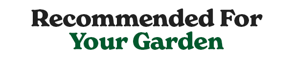 shop now on park seed