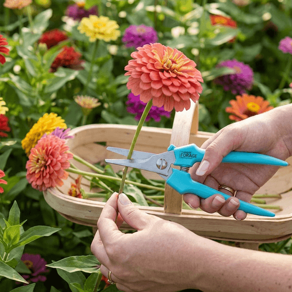 CUT FLOWER SUPPLIES