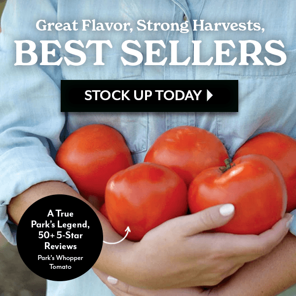 Great Flavor, Strong Harvest, Best Sellers