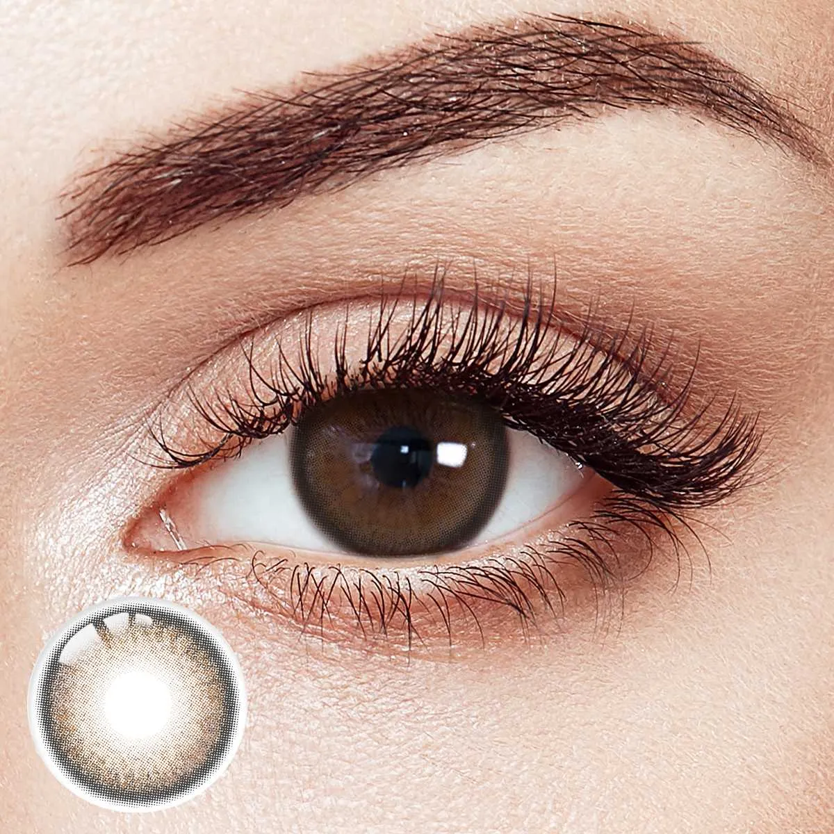 Lavender Haze Brown 6 Months Contact Lenses | 2 Pcs