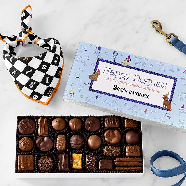Dogust Assorted Chocolates box and new Dog Bandana