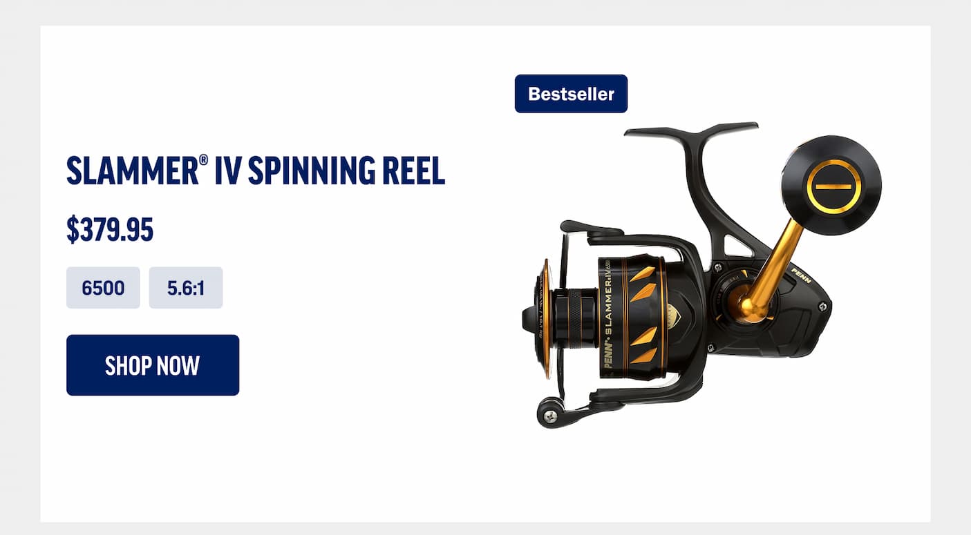 Slammer IV Spinning Reel