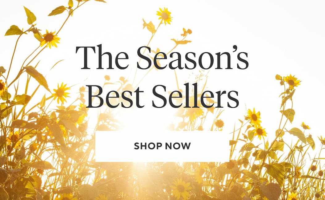 The Season’s Best Sellers Shop Now >