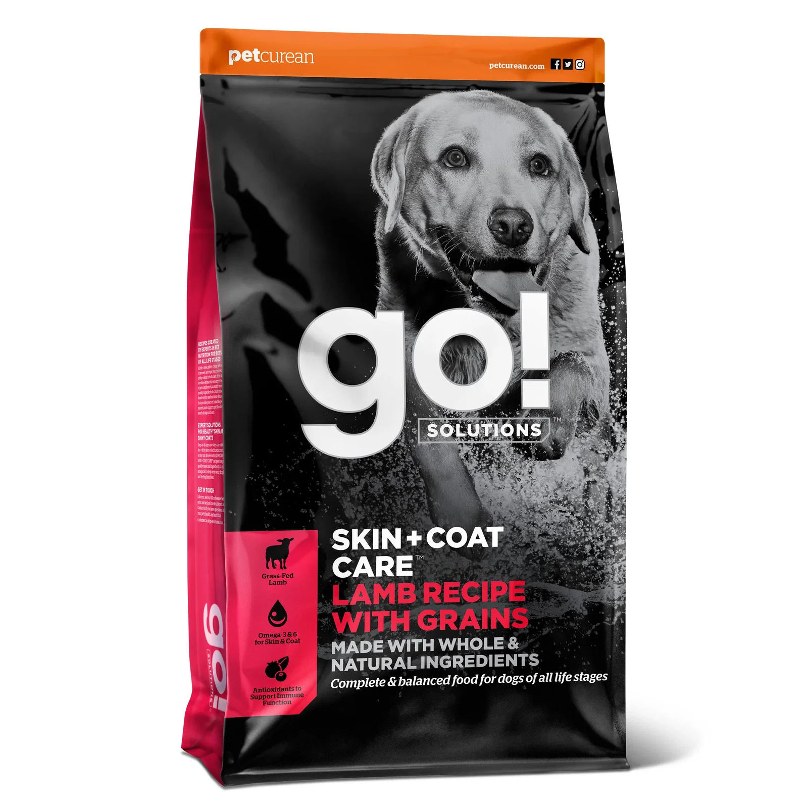 Image of Go! Solutions