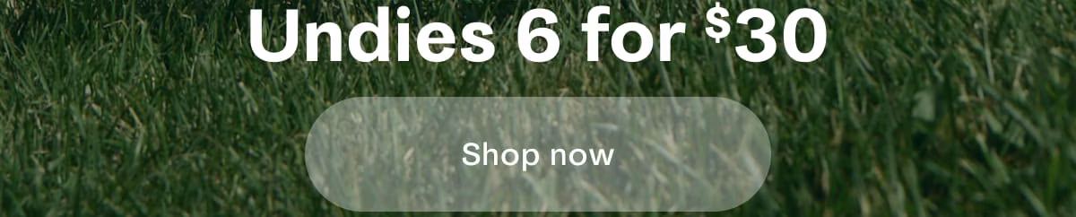 Undies 6 for $30 | Shop now 