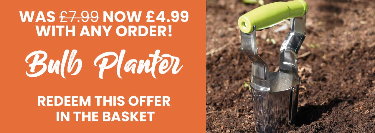 Bulb Planter