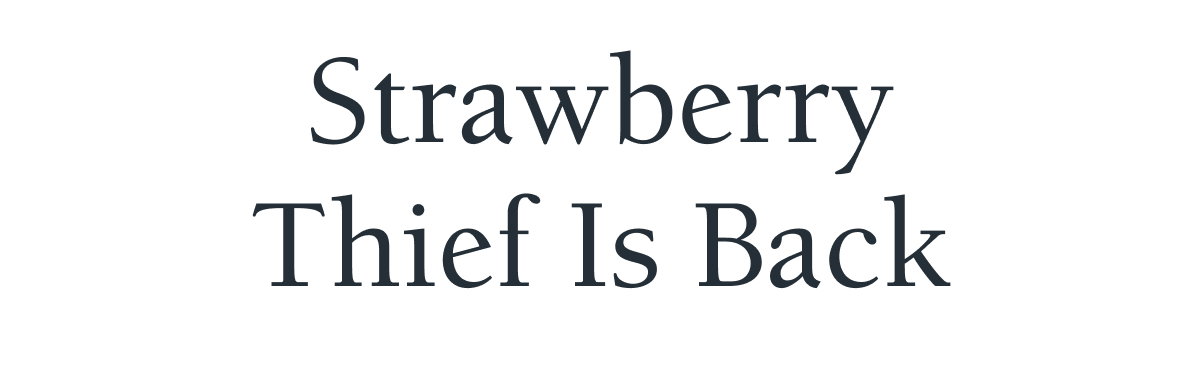 Strawberry Thief Is Back