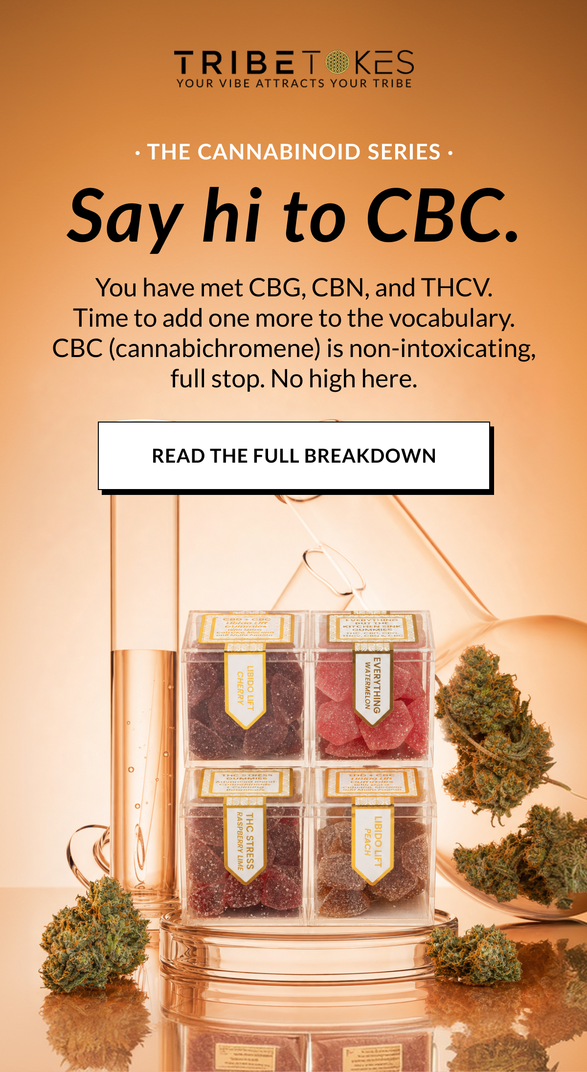 Say hi to CBC.