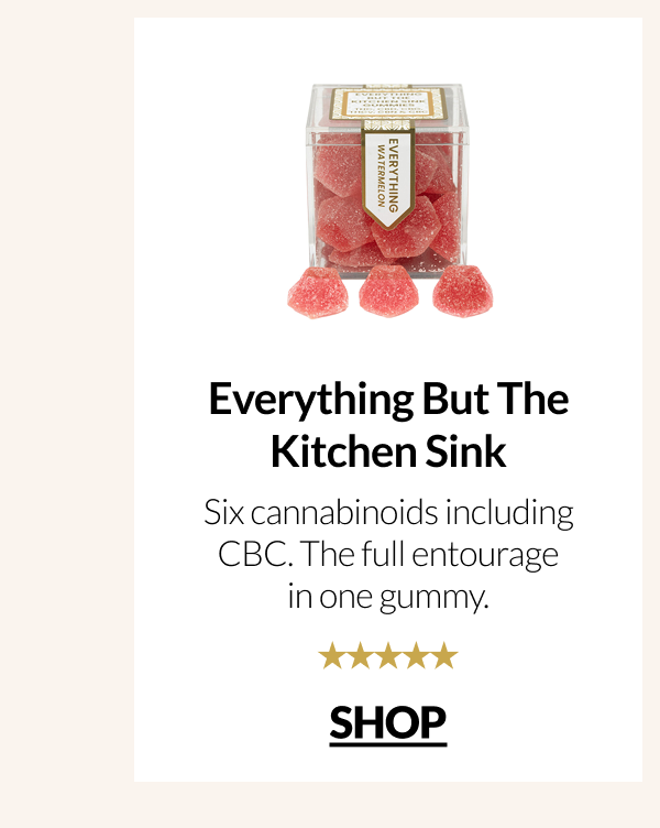 Everything But The Kitchen Sink