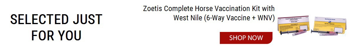 View product recommended for you
