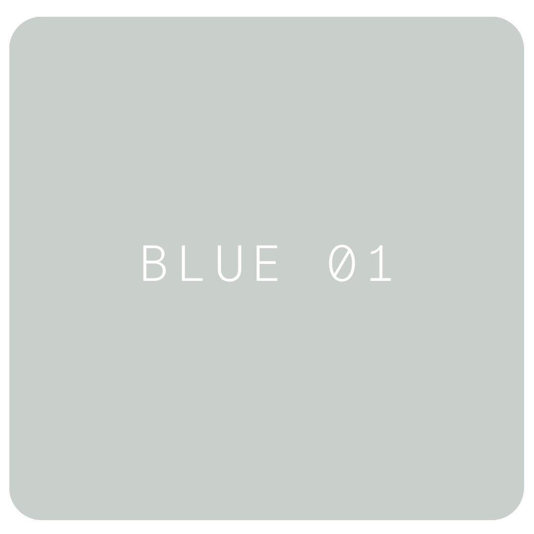 Blue 01 Colour Chip
