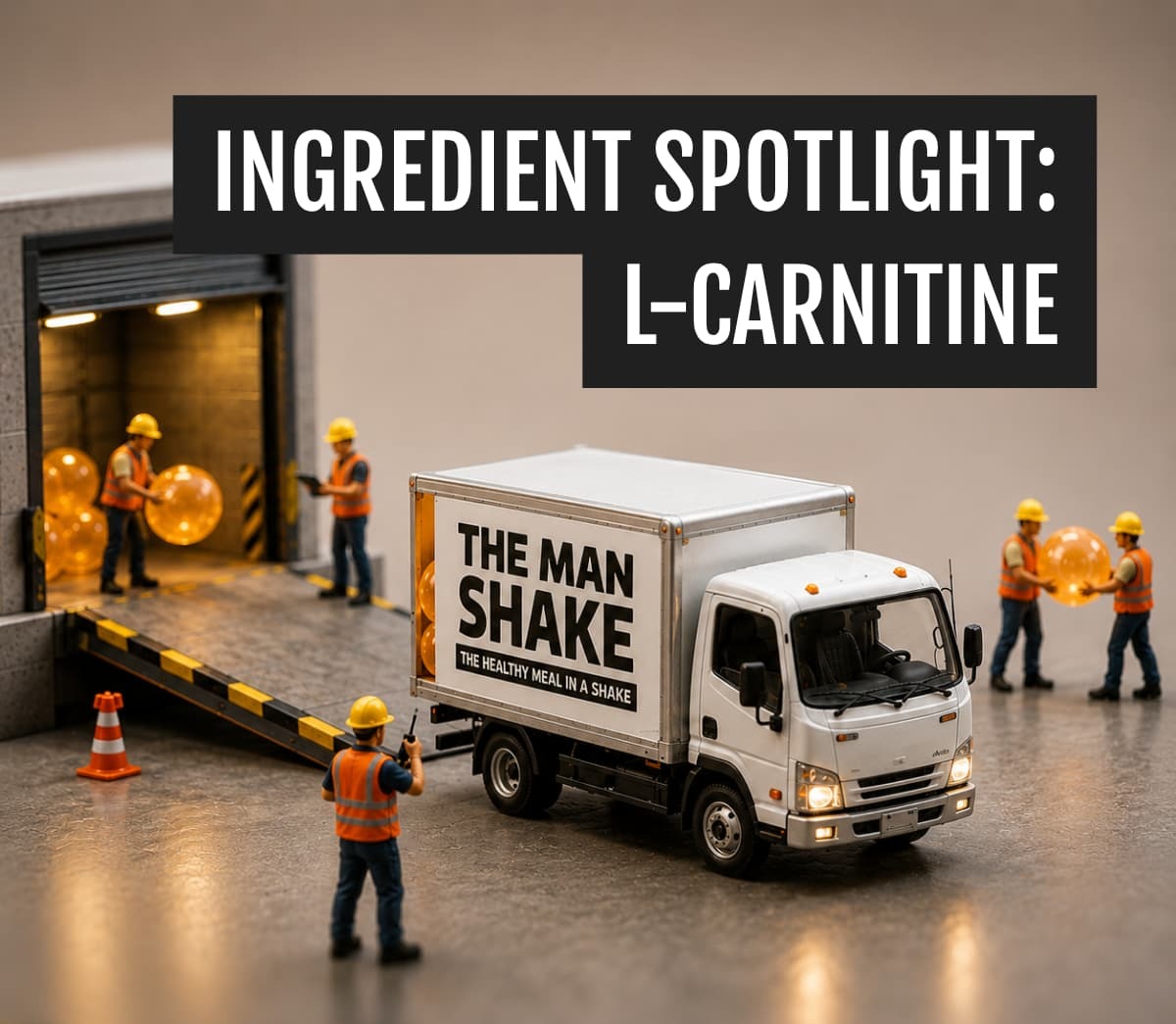 L Carnitine