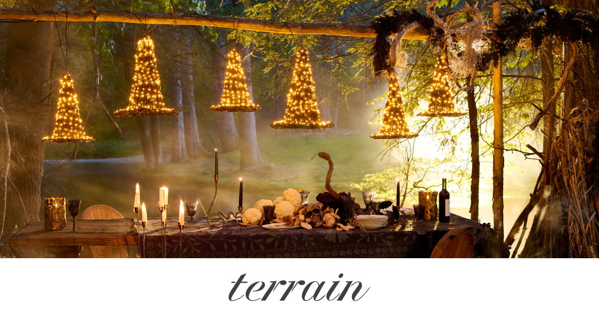 terrain